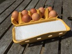 egg box